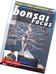 Bonsai Focus – gennaio-febbraio 2018 (Italian Edition)