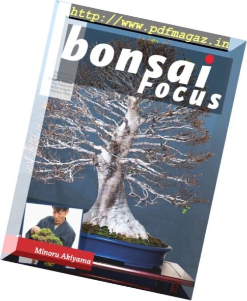 Bonsai Focus — gennaio-febbraio 2018 (Italian Edition)