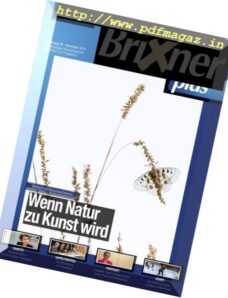Brixner Plus – November 2017