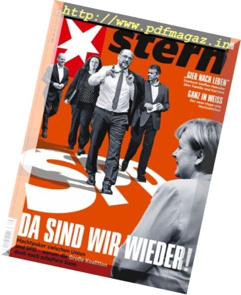 Der Stern — 29 November 2017