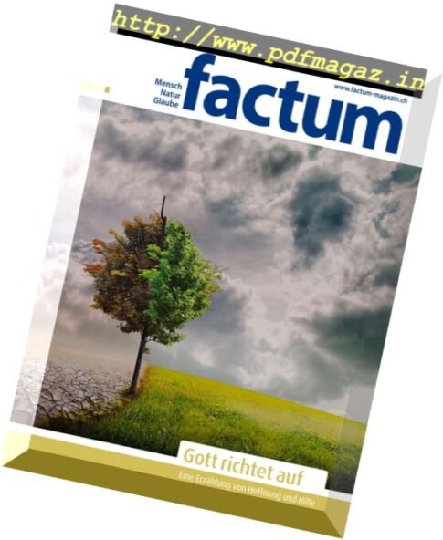 Factum Magazin — Nr.9 2017