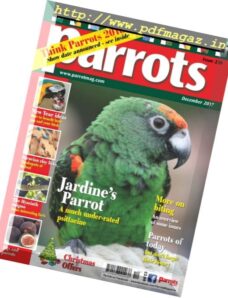 Parrots – December 2017