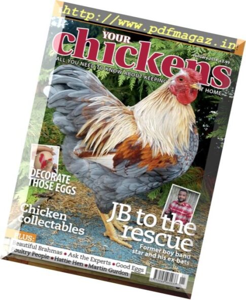 Your Chickens — January 2018