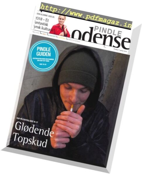 Pindle Odense — 17 januar 2018