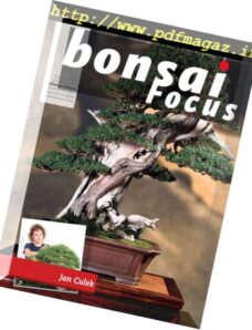 Bonsai Focus – marzo-aprile 2018 (Italian Edition)