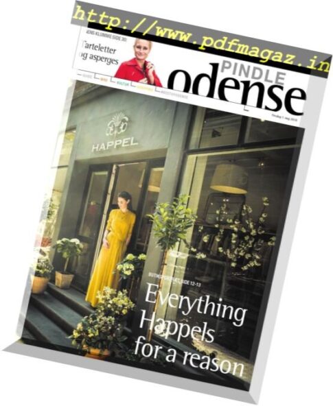 Pindle Odense — 1 maj 2018