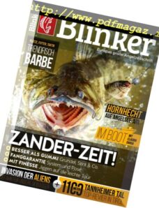 Blinker — Juni 2018