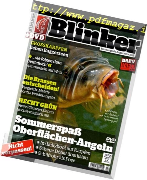 Blinker — 07-2014