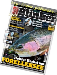 Blinker — 11-2014
