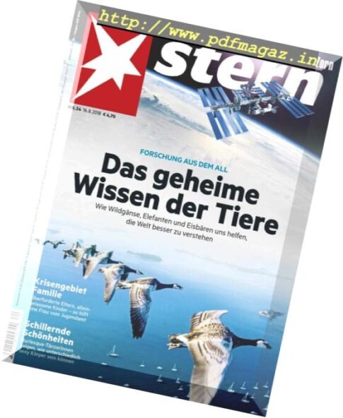 Der Stern — 16 August 2018