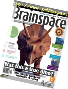 Brainspace – June 2015