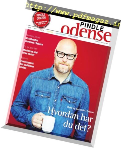 Pindle Odense — 13 november 2018