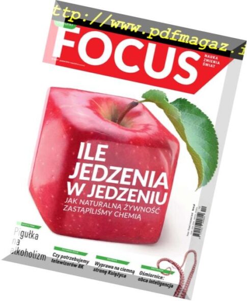 Focus Poland — Grudzien 2018