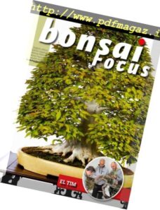 Bonsai Focus (Dutch Edition) — maart-april 2019