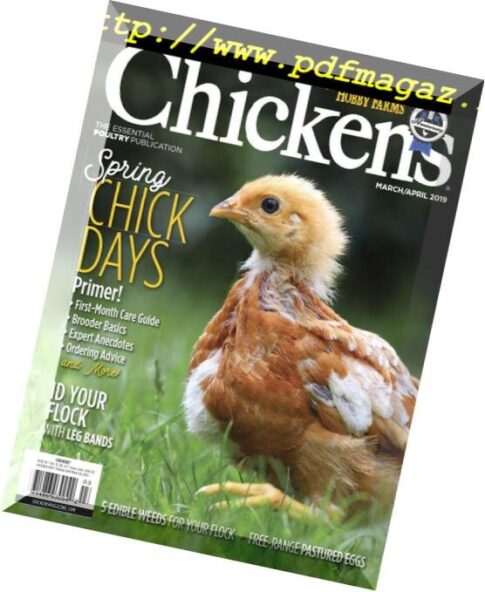 Chickens – March-April 2019