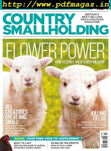 Country Smallholding – July 2019