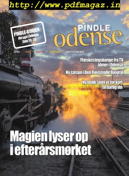 Pindle Odense – 15 oktober 2019