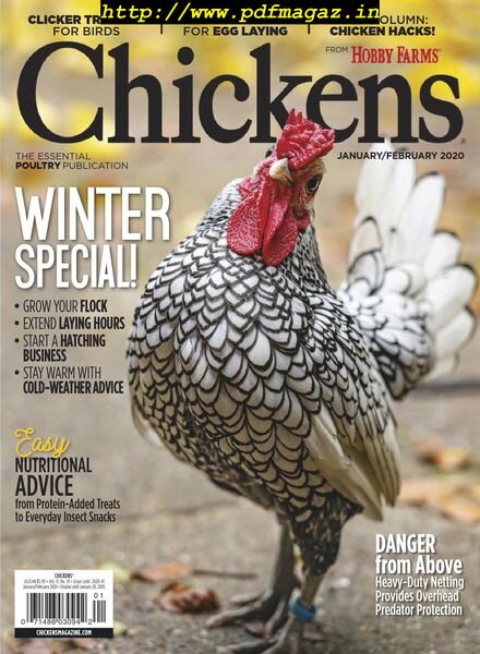 Chickens — January 2020