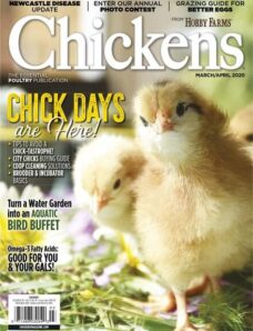 Chickens – March-April 2020