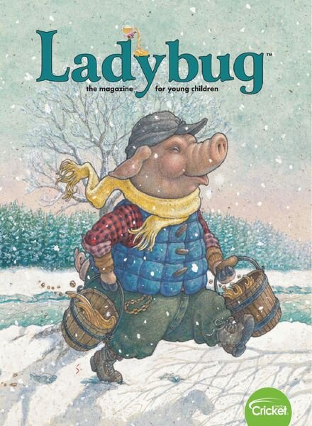 Ladybug — February 2020
