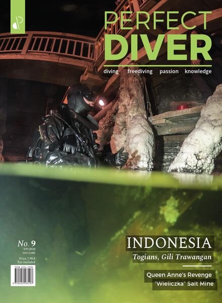 Perfect Diver — May-June 2020