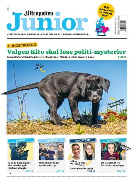 Aftenposten Junior — 02 juni 2020