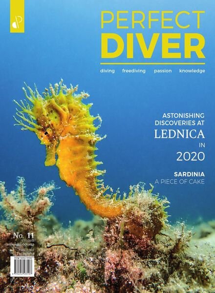 Perfect Diver – September-October 2020