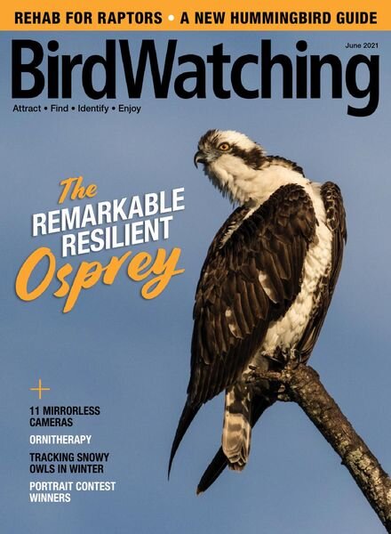 BirdWatching USA — May-June 2021