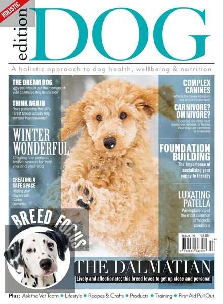 Edition Dog — Issue 14 — 29 November 2019