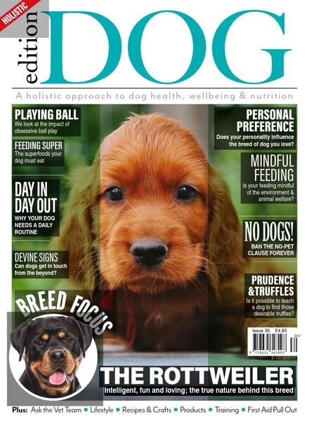 Edition Dog — Issue 30 — 1 April 2021