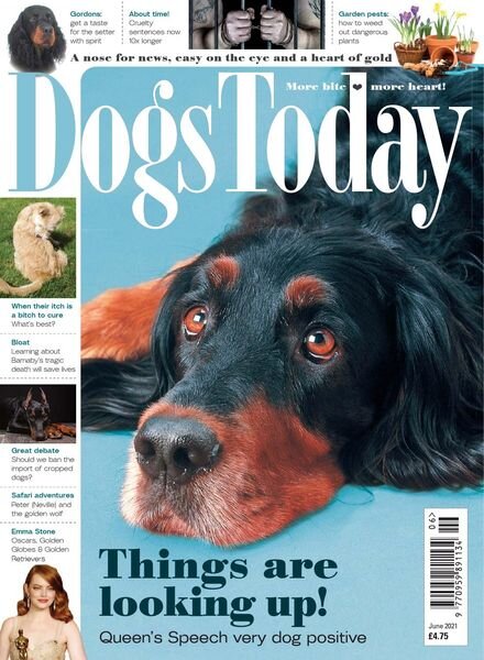 Dogs Today UK — June 2021