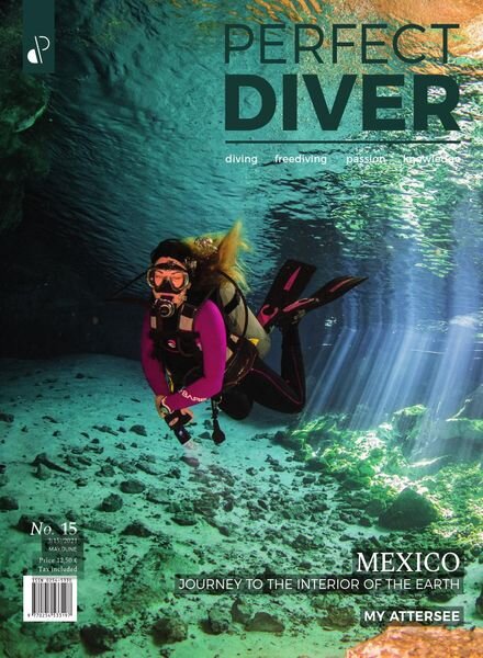 Perfect Diver — May-June 2021
