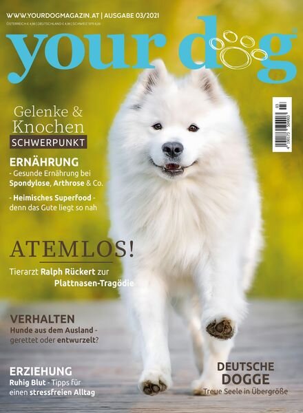 Your Dog Germany — Juli 2021