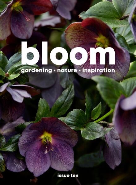 Bloom — August 2021