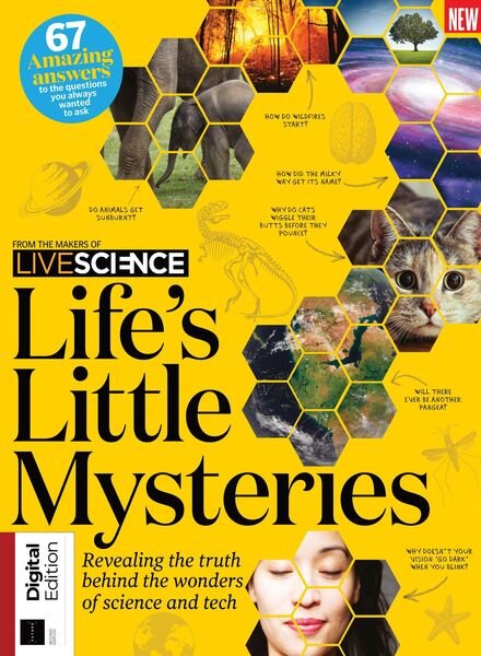 Life’s Little Mysteries — September 2021