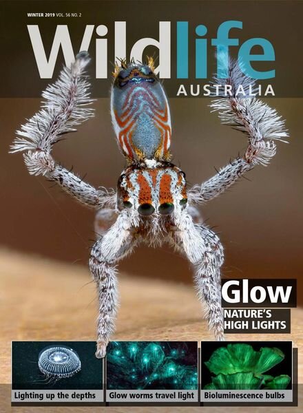 Wildlife Australia — Volume 56 N 2 — Winter 2019