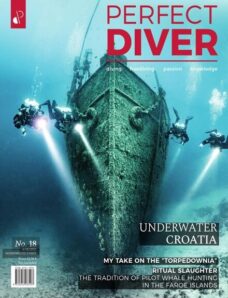 Perfect Diver – November-December 2021