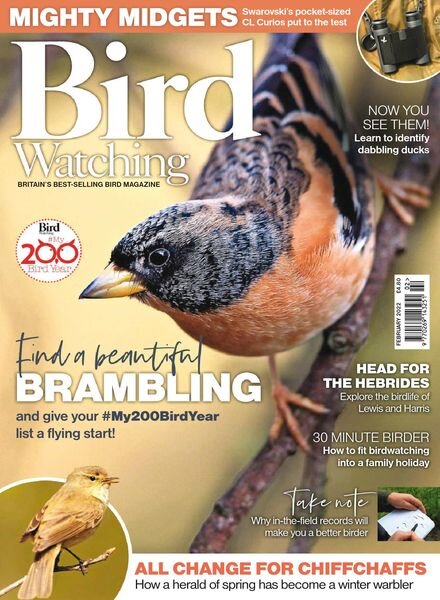 Bird Watching UK — February 2022