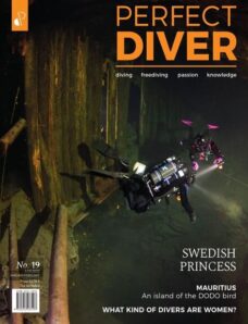 Perfect Diver – January-February 2022