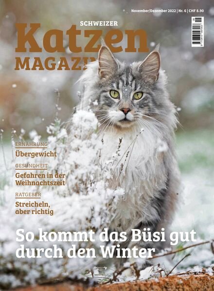Katzen Magazin — November 2022