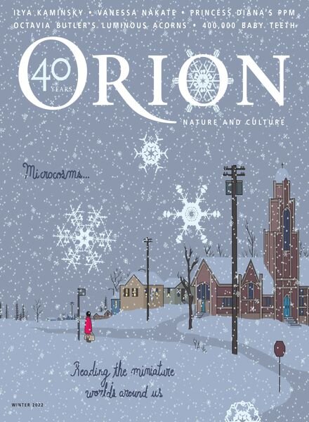 Orion – November 2022