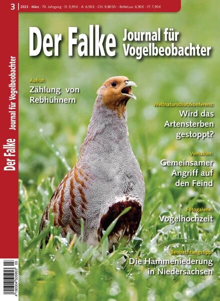 Der Falke Journal fur Vogelbeobachter — Marz 2023