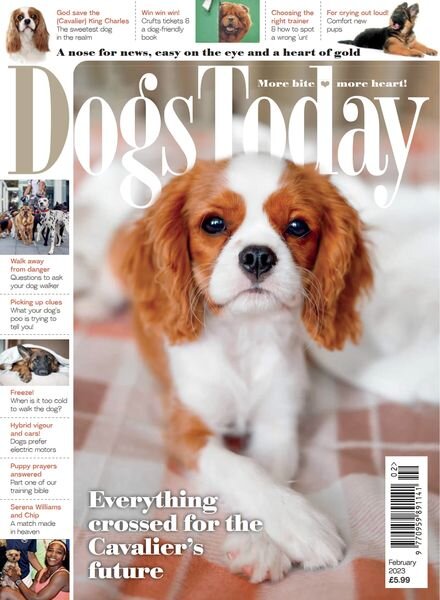 Dogs Today UK — February 2023