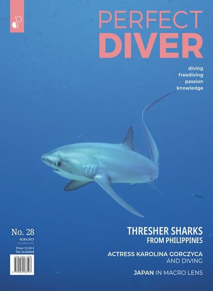 Perfect Diver — July-August 2023