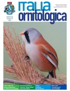 Italia Ornitologica – Numero 10 2023