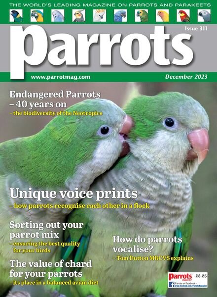 Parrots — December 2023