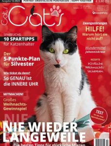 Our Cats – Dezember 2023