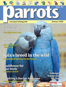 Parrots – January 2024