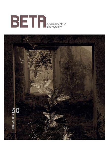 Beta Developments in Photography — January 2024