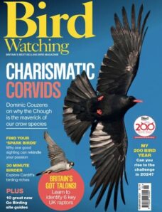 Bird Watching UK – February 2024